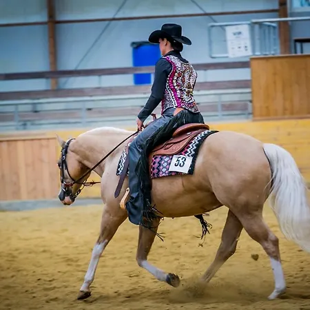 Sonnenhof, Auf Reitanlage * 알브쉬타트