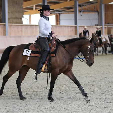 Sonnenhof, Auf Reitanlage Albstadt