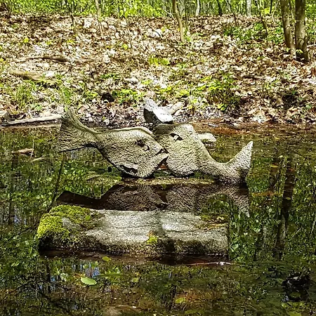 Sonnenhof, Auf Reitanlage