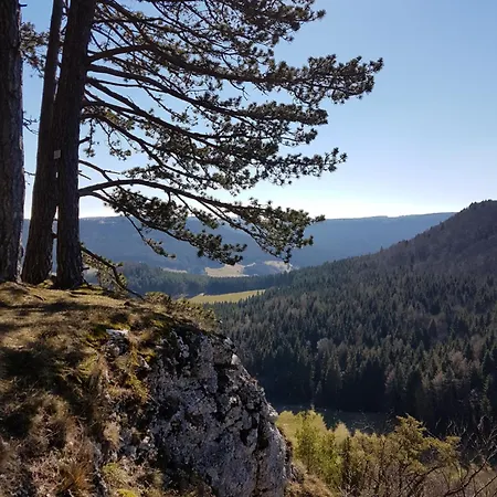 아파트 Sonnenhof, Auf Reitanlage 알브쉬타트