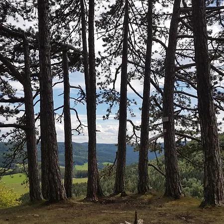 아파트 Sonnenhof, Auf Reitanlage *