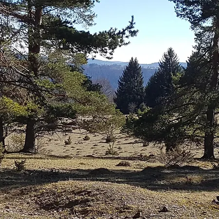 아파트 Sonnenhof, Auf Reitanlage 알브쉬타트