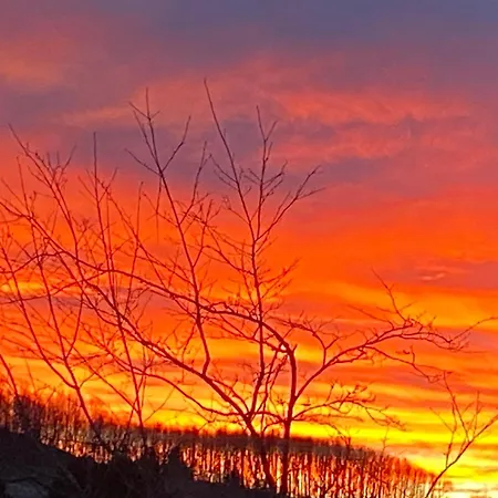 Sonnenhof, Auf Reitanlage 아파트