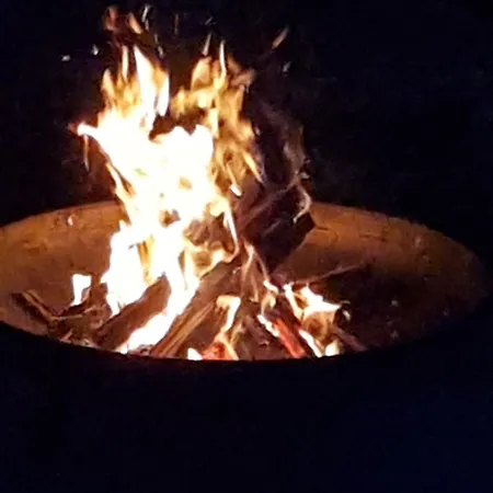 Sonnenhof, Auf Reitanlage * 알브쉬타트