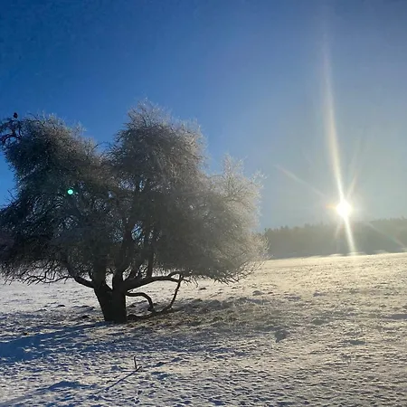 아파트 Sonnenhof, Auf Reitanlage *