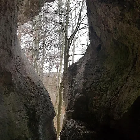 아파트 Sonnenhof, Auf Reitanlage