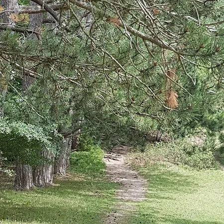 Sonnenhof, Auf Reitanlage 아파트 알브쉬타트