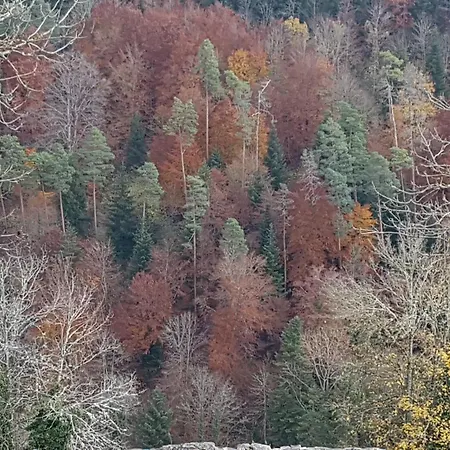 Sonnenhof, Auf Reitanlage * 알브쉬타트